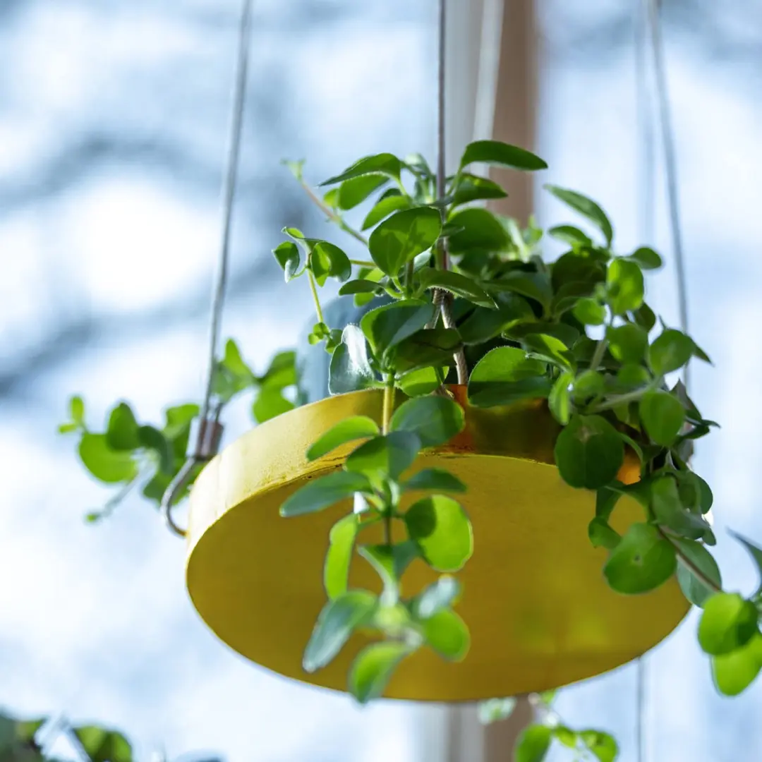 Esschert Design Plantenblad Hangend Rond S - Goud
