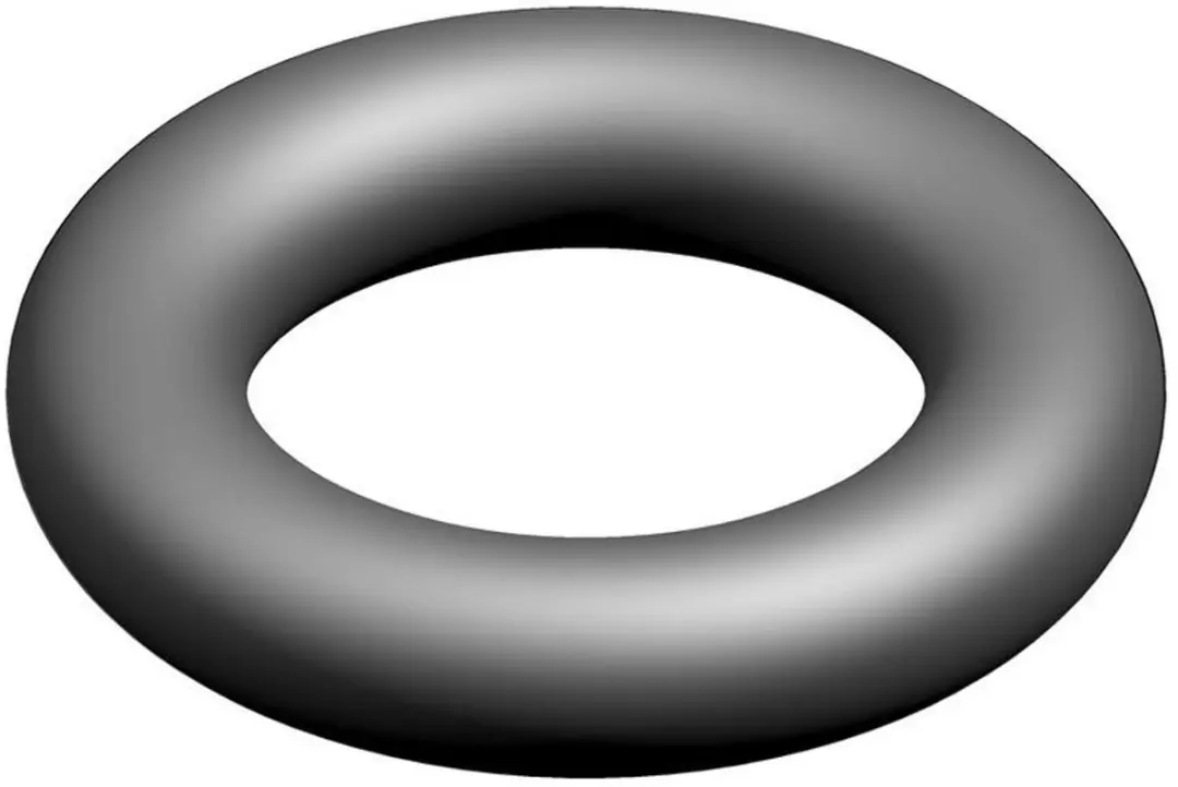 Bosch O-ring 10x