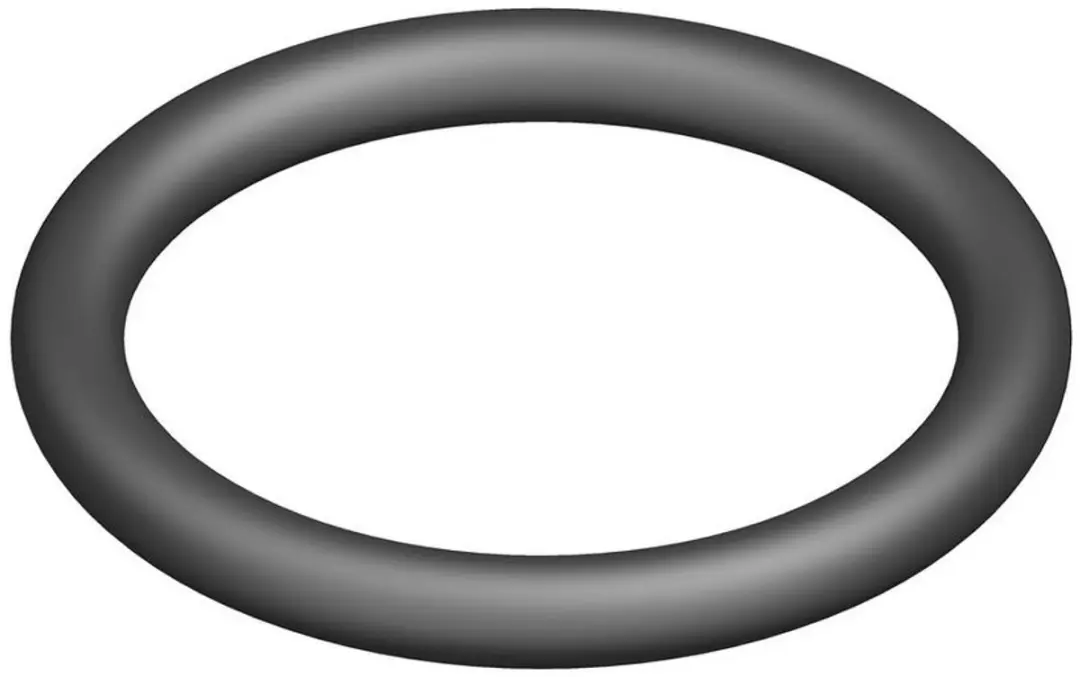 Bosch O-ring 10x