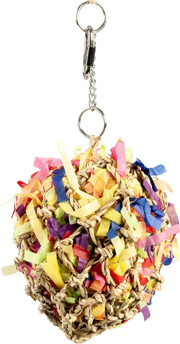 DuvoPlus Shreddy Piñata Vogel Speelgoed - Meerkleurig