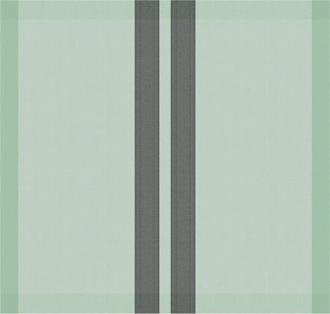 DDDDD Baxter Theedoeken 60x65cm - Groen - 6 Stuks