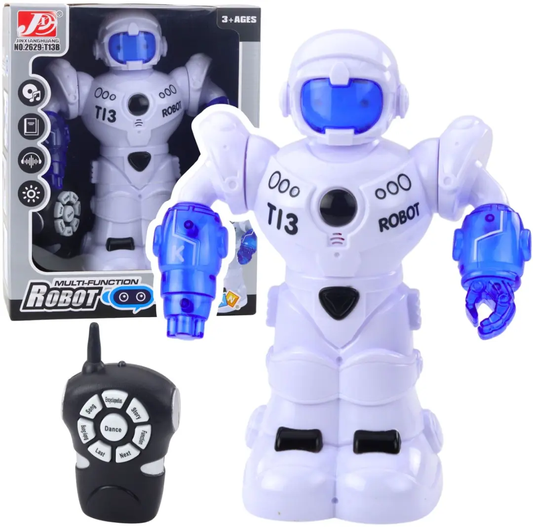 LEAN TOYS Meerkleurige RC Robot