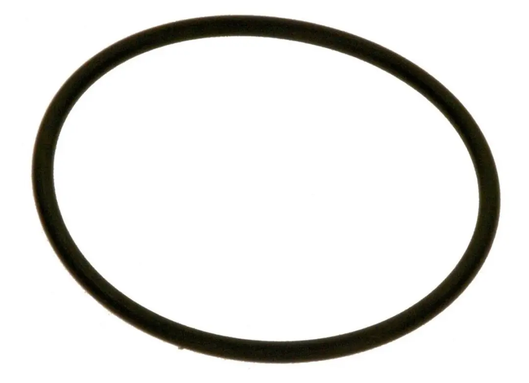 Bosch O-ring pomp 7736700124