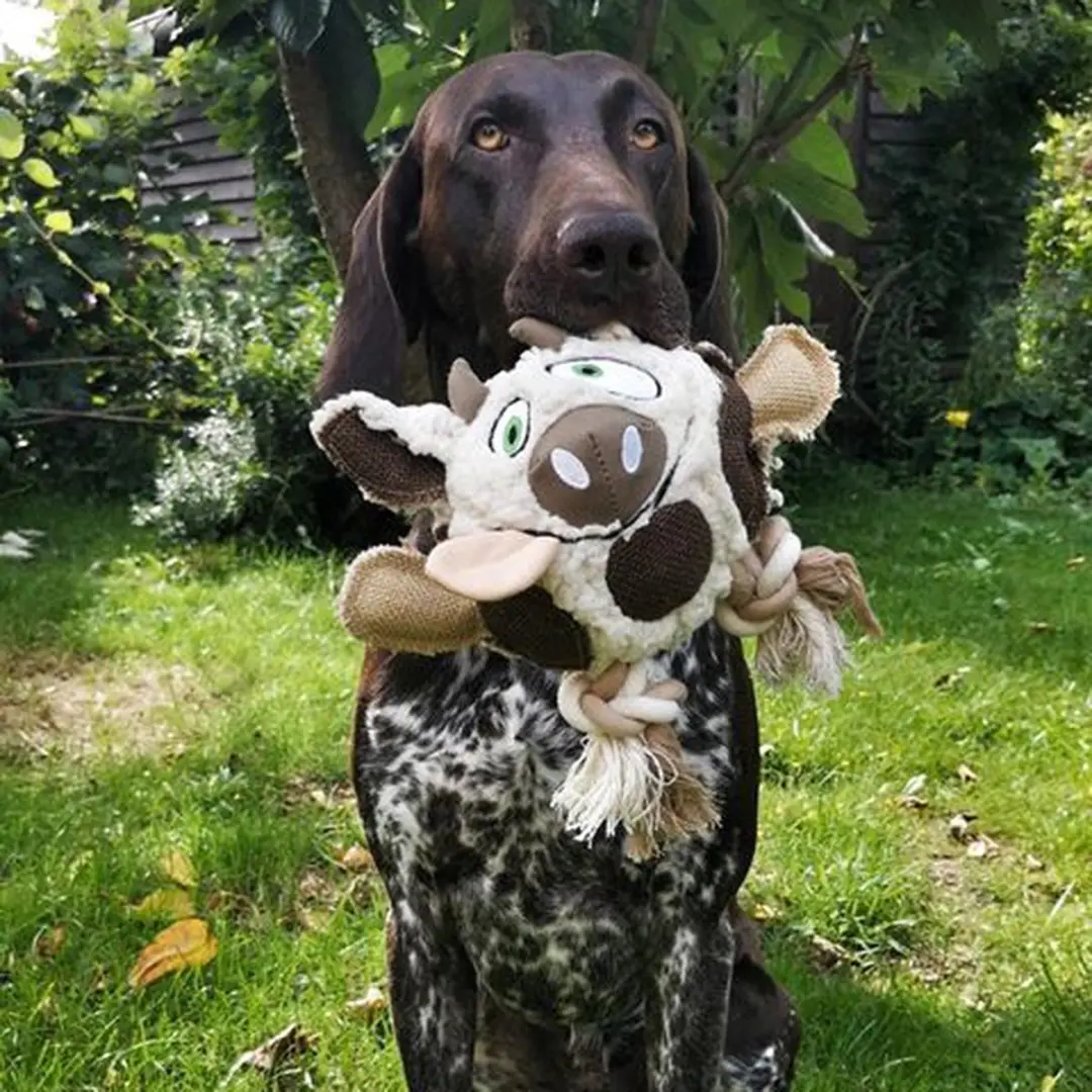 DuvoPlus Speelgoed Hond Canvas Plush Koe