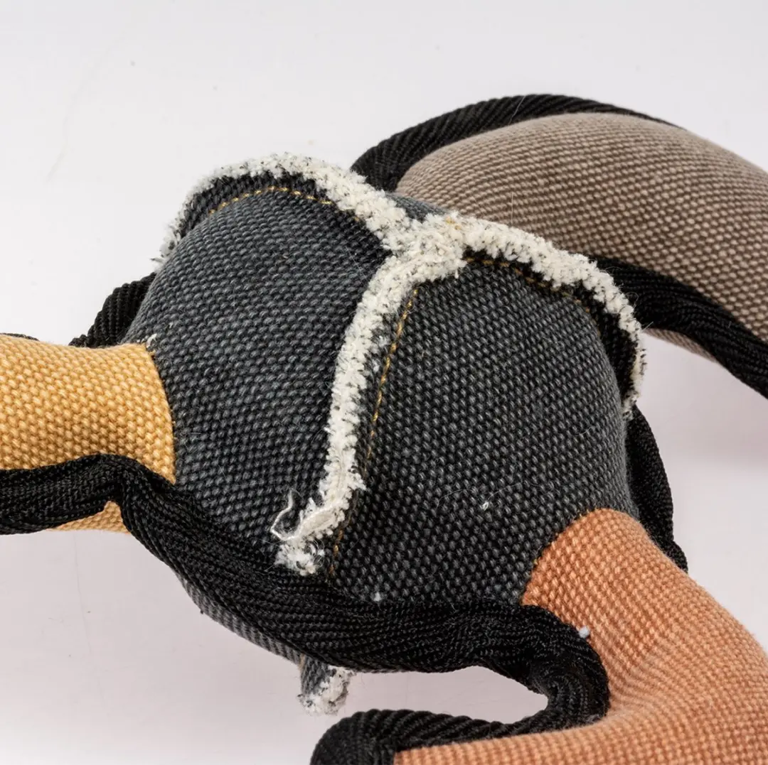 DuvoPlus Canvas Boemerang Hond - Meerkleurig