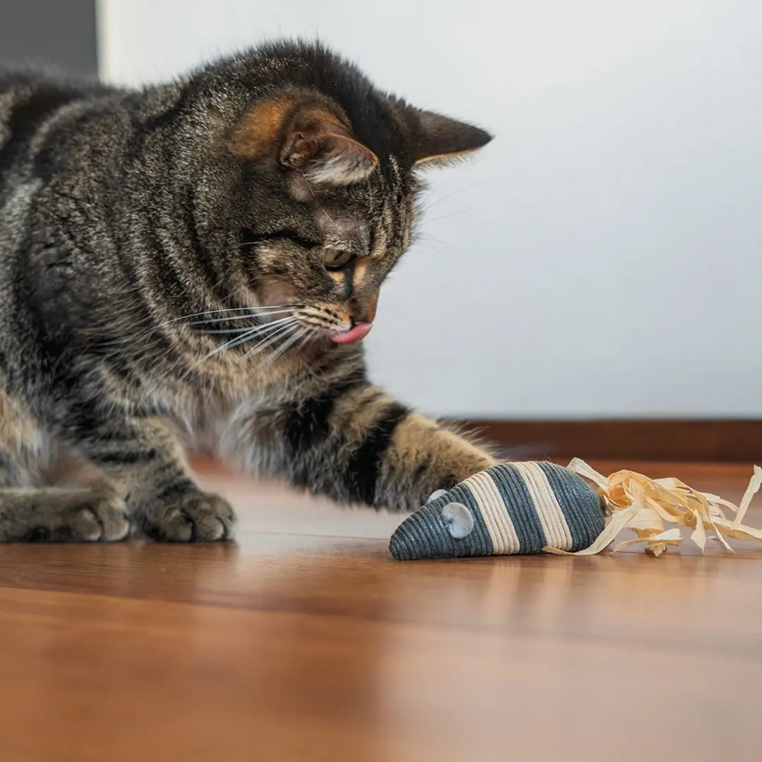 DuvoPlus Rope Grote Muis Kat Speelgoed - 20x3,7x3,5cm Grijs