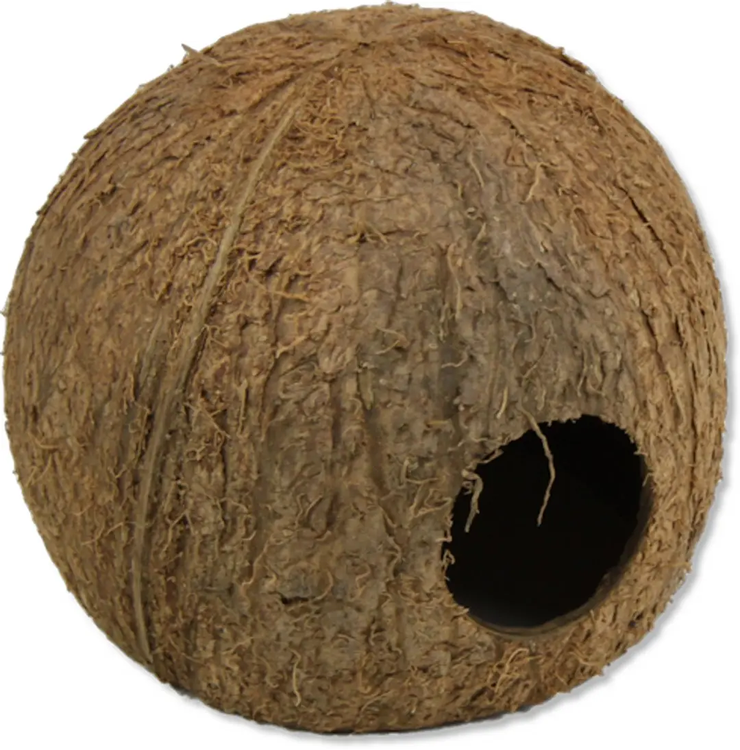 JBL Cocos Cava L Schuilplaats