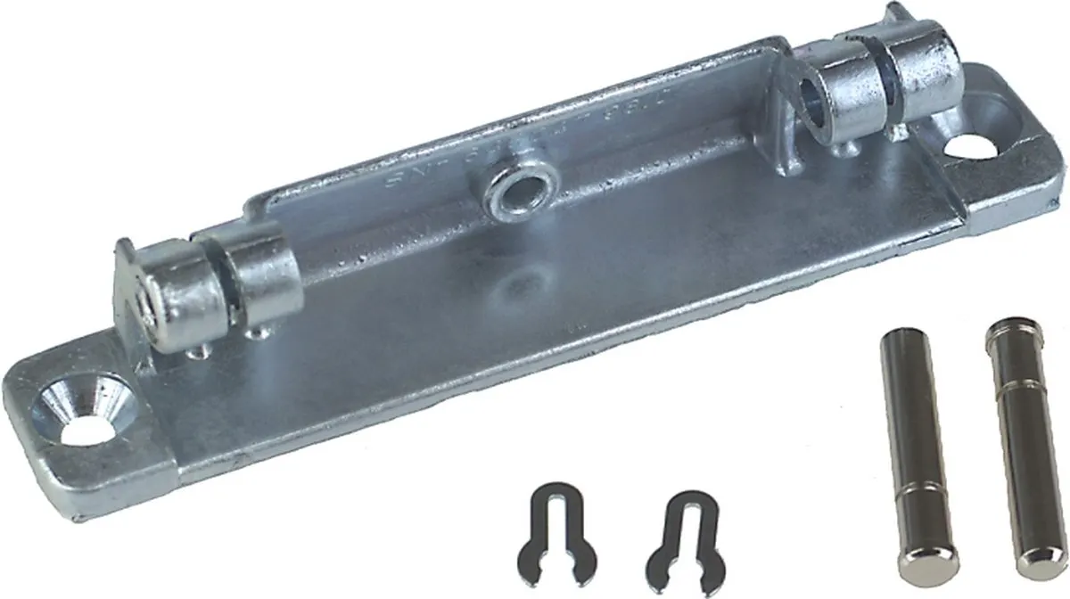 AEG Scharnier 8996454172603