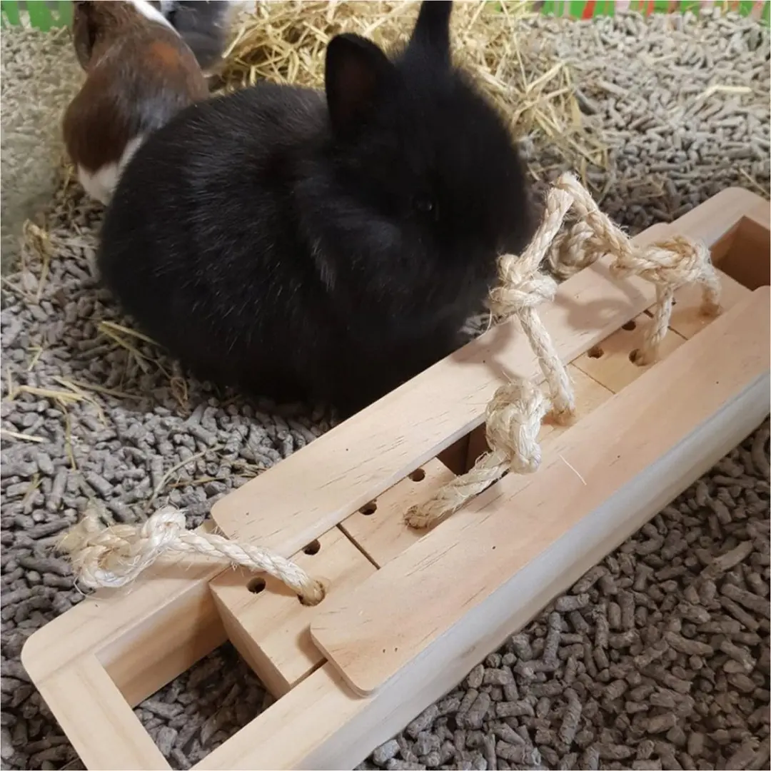 Duvo+ Houten Sniffle 'n Snack Puzzle Amy Speelgoed 37x8.5x6.5cm