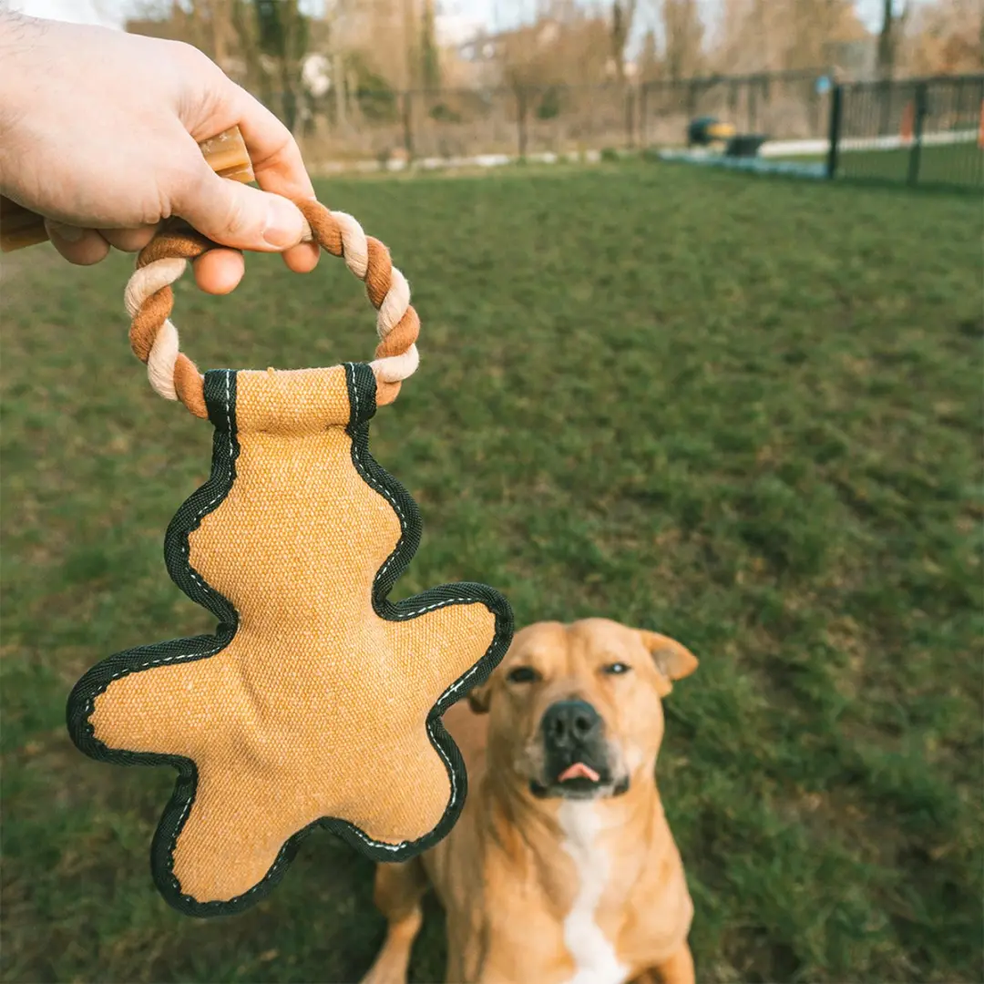DuvoPlus Speelgoed Hond Canvas Peperkoekman Meerkleurig