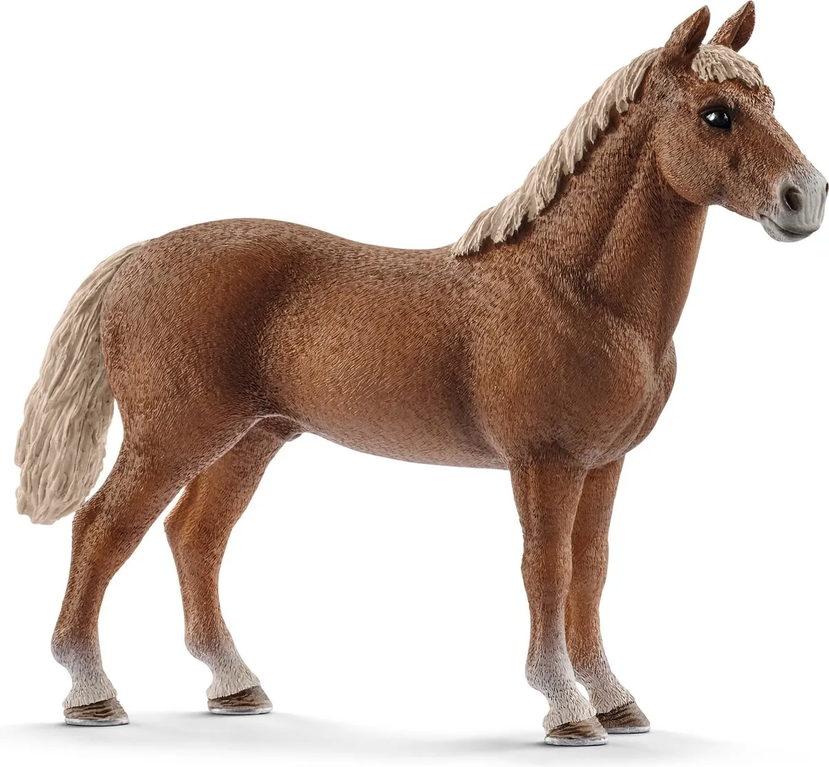 Schleich Morgan Horse Hengst 13869 - Multikleur