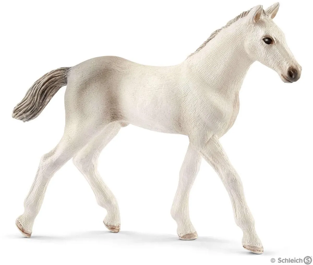 Schleich Holsteiner Veulen 13860