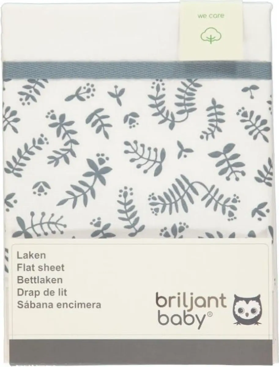 Briljant Baby