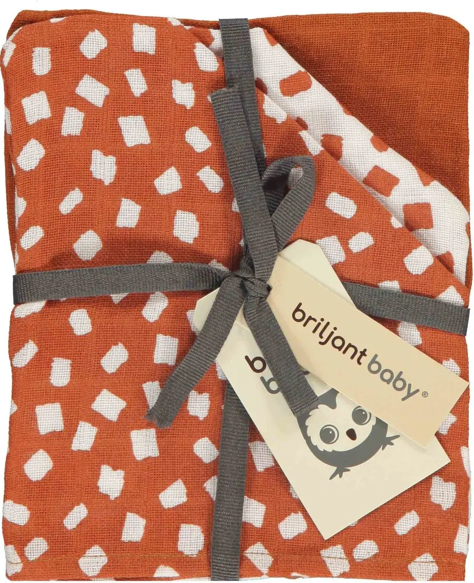 Briljant Baby