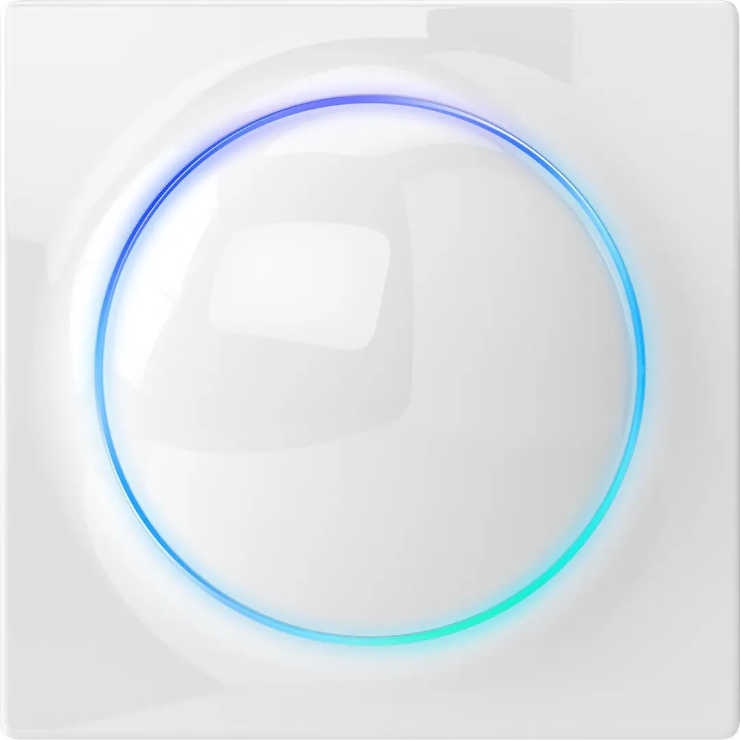 FIBARO Walli Switch