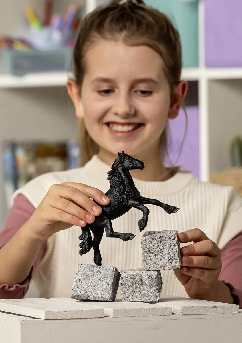 Schleich Horse Club Friese Hengst 13975 - Zwart