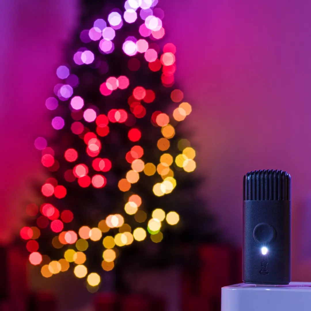 Twinkly Strings Lichtsnoer 250LED RGB 20M - Zwart