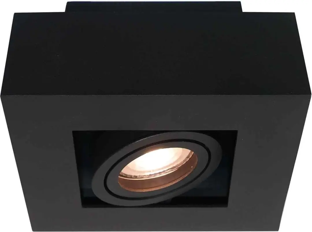 Artdelight Opbouwspot 1 Licht Kantelbaar