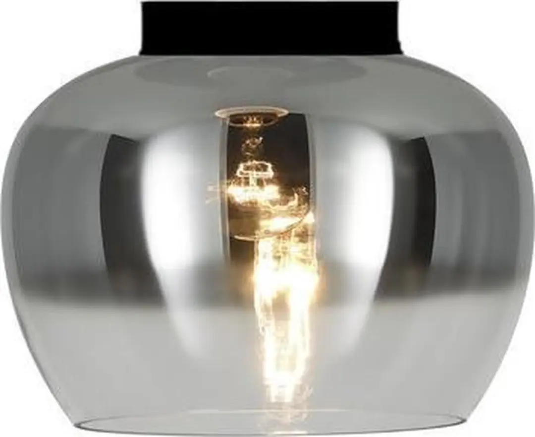 Groenovatie Smoke Plafondlamp E27