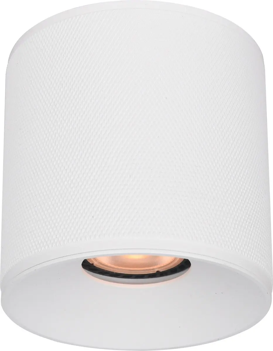 Artdelight Plafondlamp Costa Ø10,5cm GU10