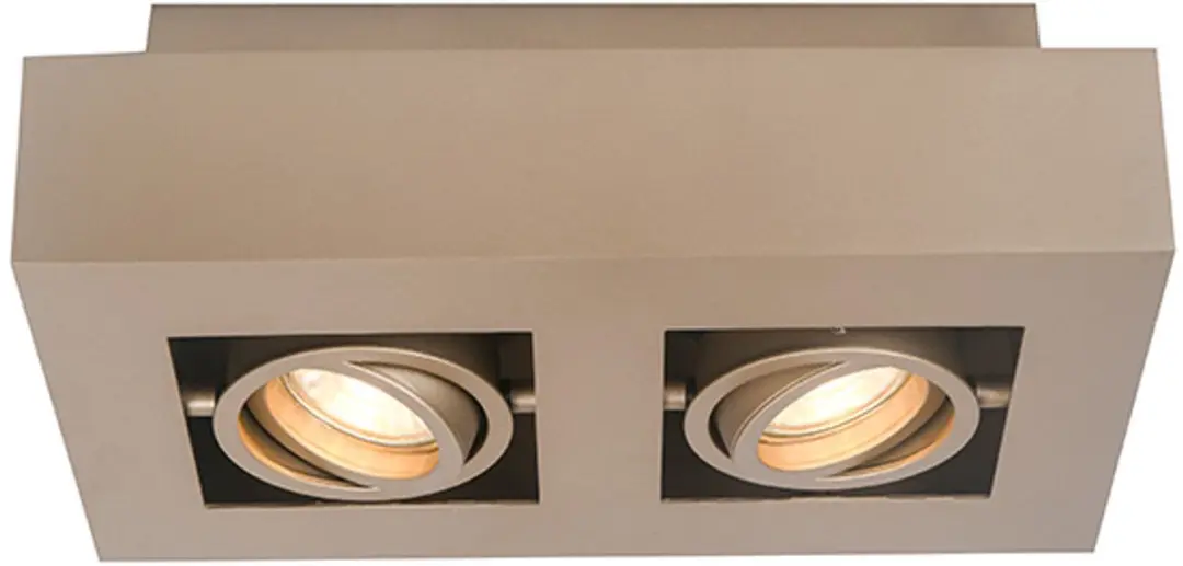Artdelight Boscagli Plafonnière 2 Lichtpunten
