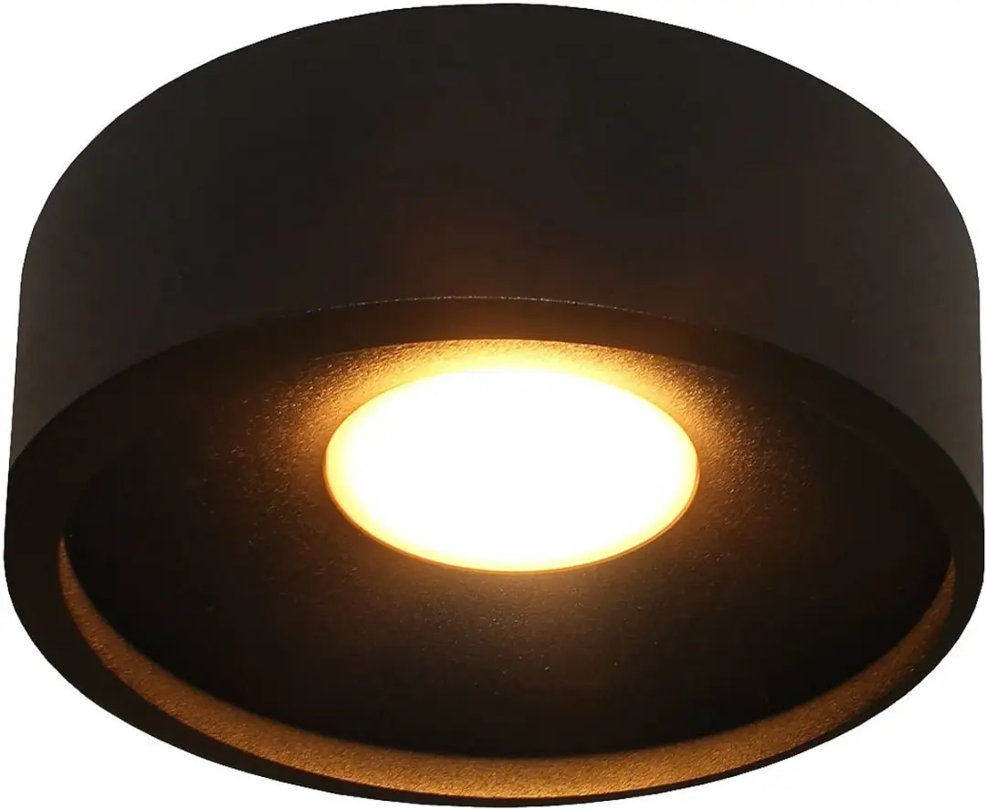 Artdelight Orlando Plafondlamp LED 10W 2700K