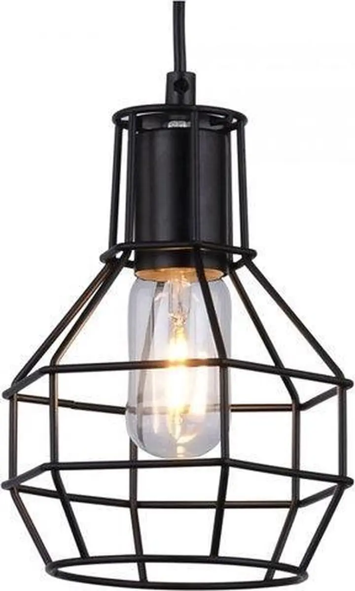 Groenovatie Vintage Cage Design Hanglamp