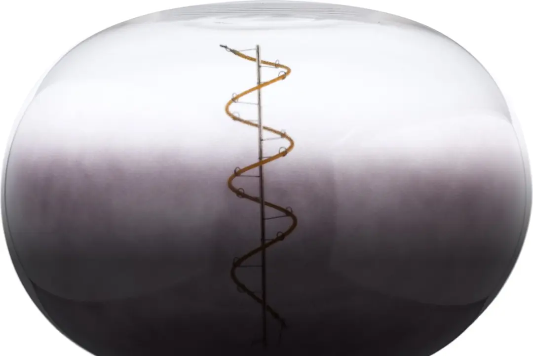 Groenovatie E27 LED Filament XL R220 Half Smoke - 6W Warm Wit Dimbaar