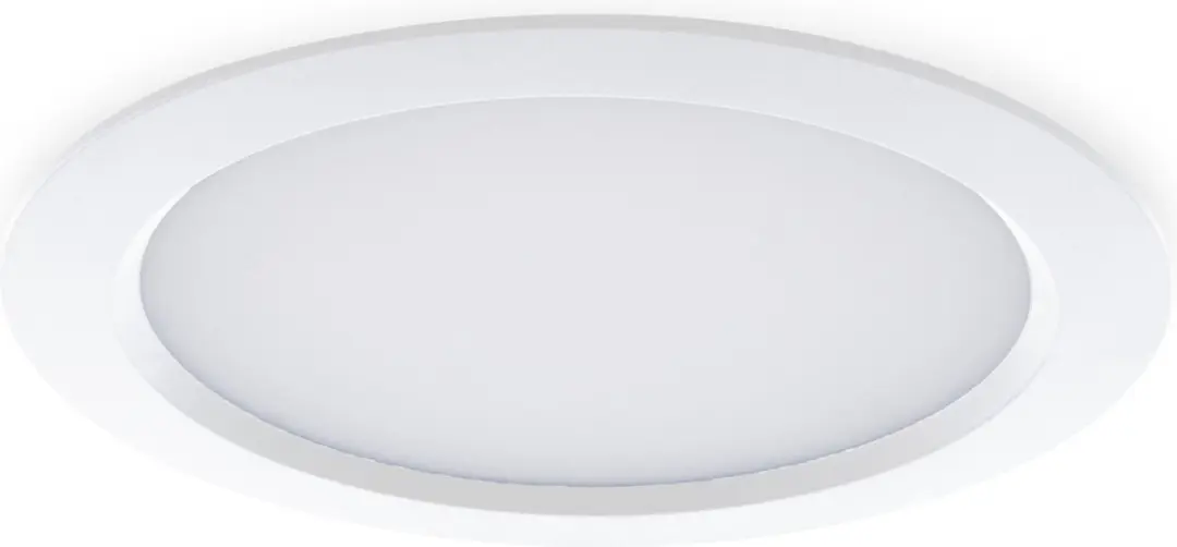 Groenovatie LED Paneel Plafondlamp 24W