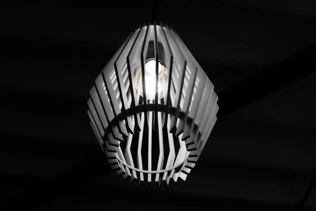 Groenovatie Design Hanglamp Hout E27 - Ø20cm - Zwart - afbeelding 6 van 6
