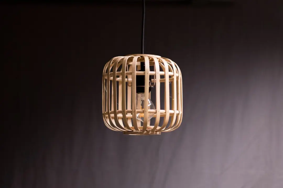 Groenovatie Bamboe Hanglamp Rotan - ⌀22 cm