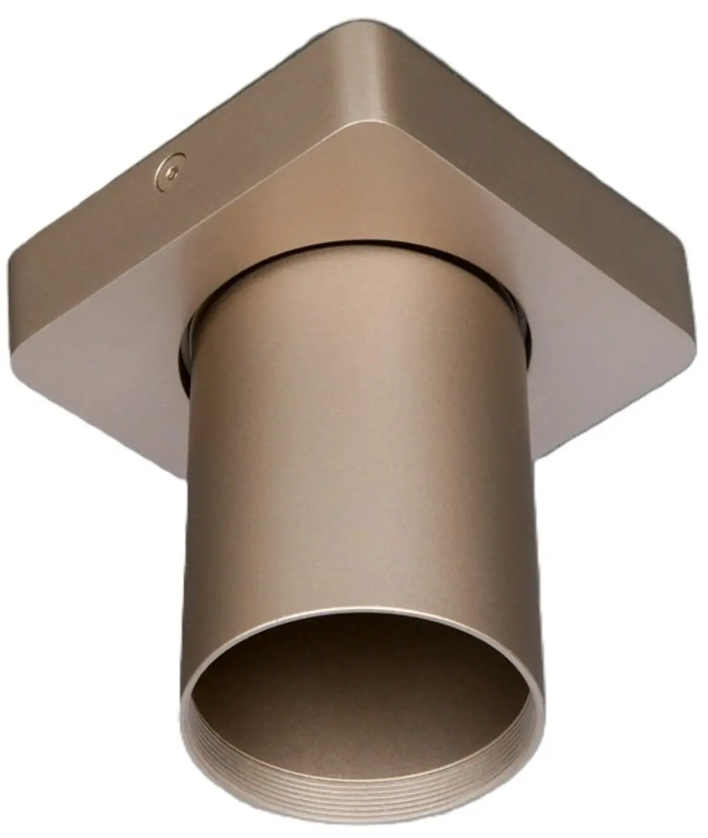 Artdelight Spot Megano 1 Lichtpunt 35W - Ø10cm Messing
