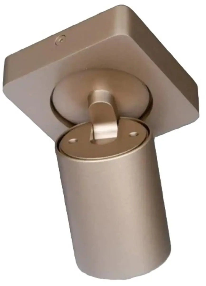 Artdelight Spot Megano 1 Lichtpunt 35W - Ø10cm Messing