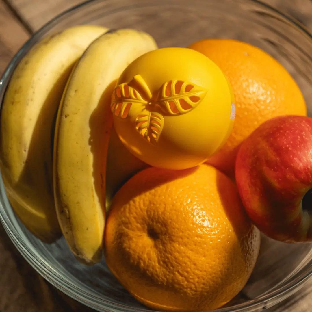 ECOstyle Fruitvliegval - 4-6 Weken - Transparant