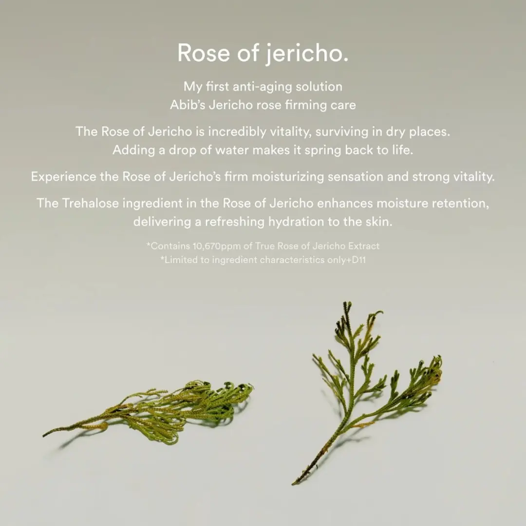 Abib Jericho Rose Collagen Pad 60 Stuks - 250ml