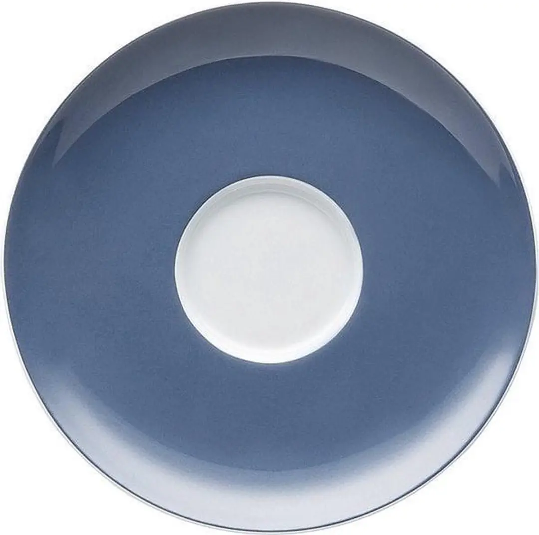 Thomas 10850-408545-14741 schotel Porselein
