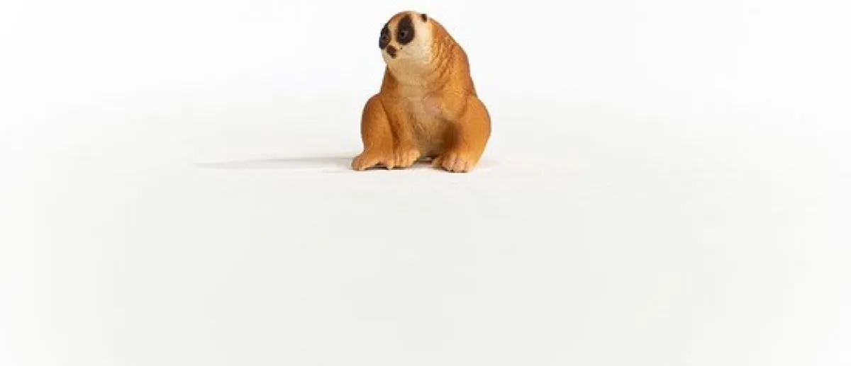Schleich Plompe Lori 14852