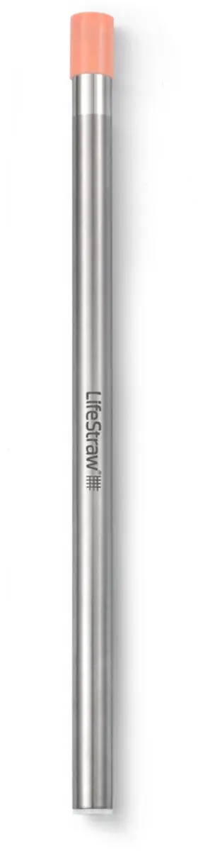 LifeStraw Rietje Met Beschermhoes - Zilver - afbeelding 2 van 3