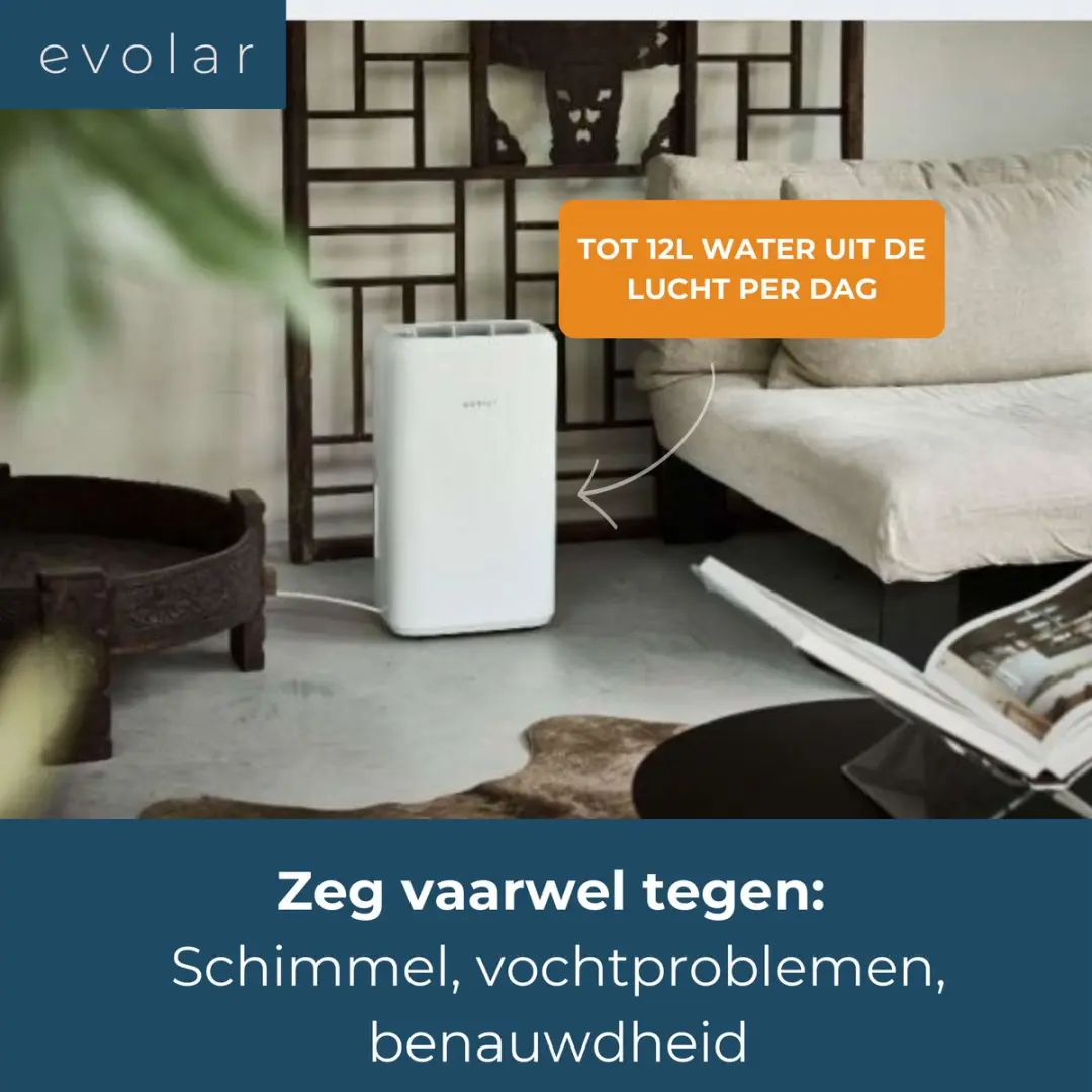 Evolar EVO-DH1200 Luchtontvochtiger 12L - Wit - afbeelding 2 van 6