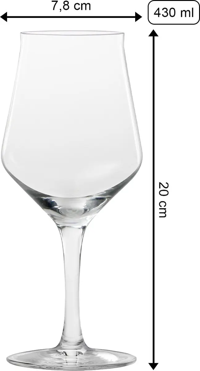Stölzle Lausitz Craftbeer Bierglazen 43cl - 6 Stuks