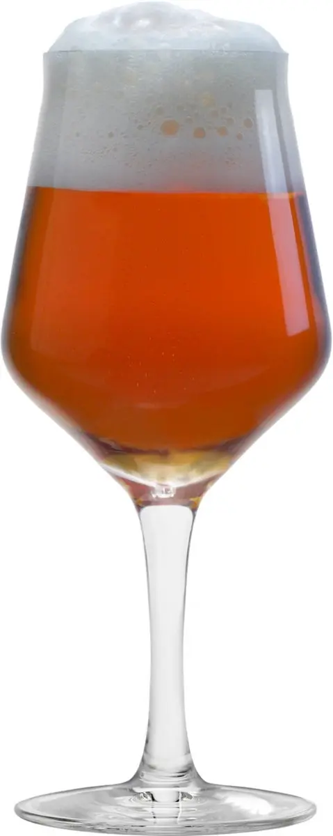 Stölzle Lausitz Craftbeer Bierglazen 43cl - 6 Stuks