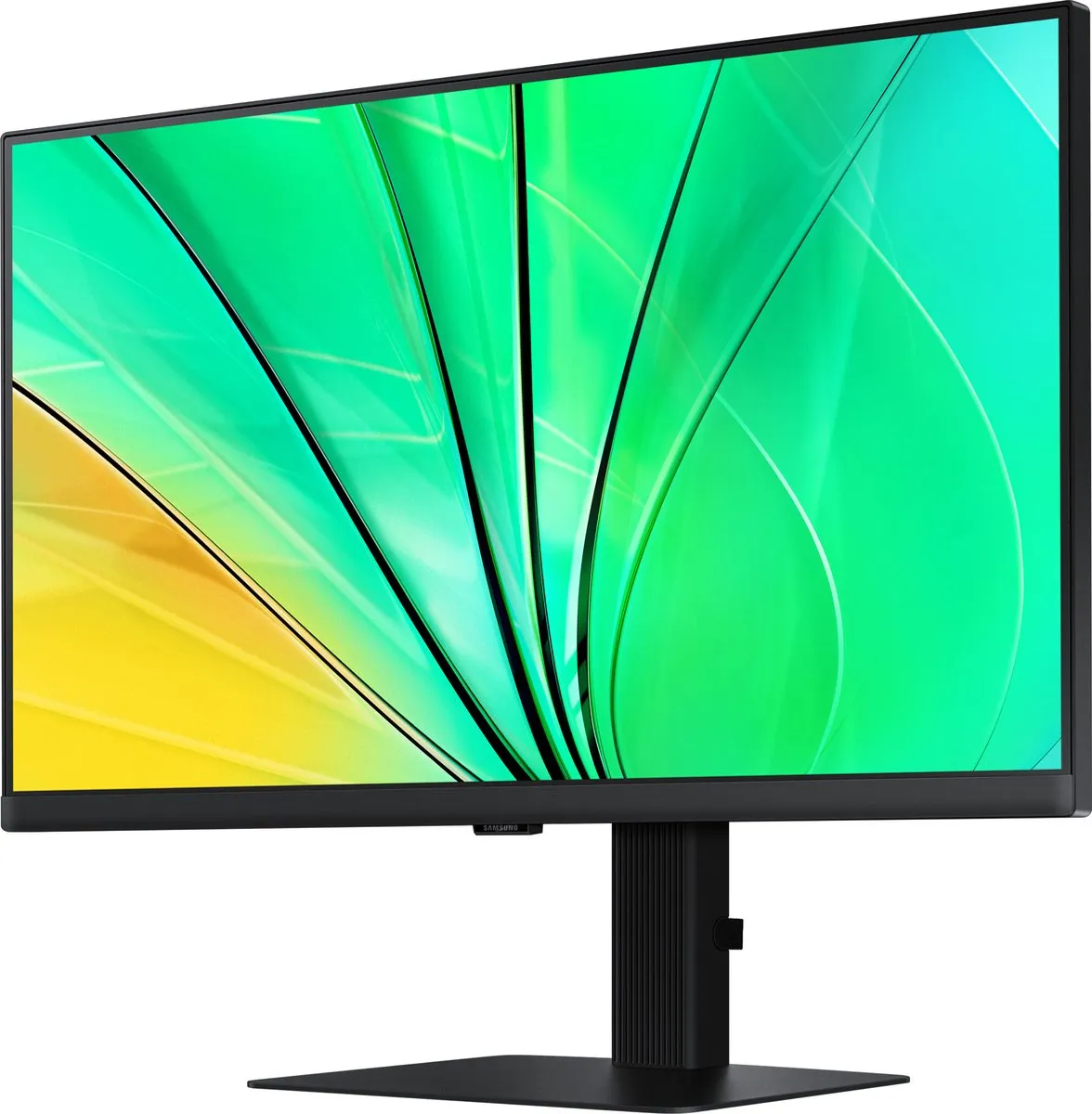 Samsung ViewFinity LS24D600EAUXEN Monitor 24 inch QHD - 100Hz