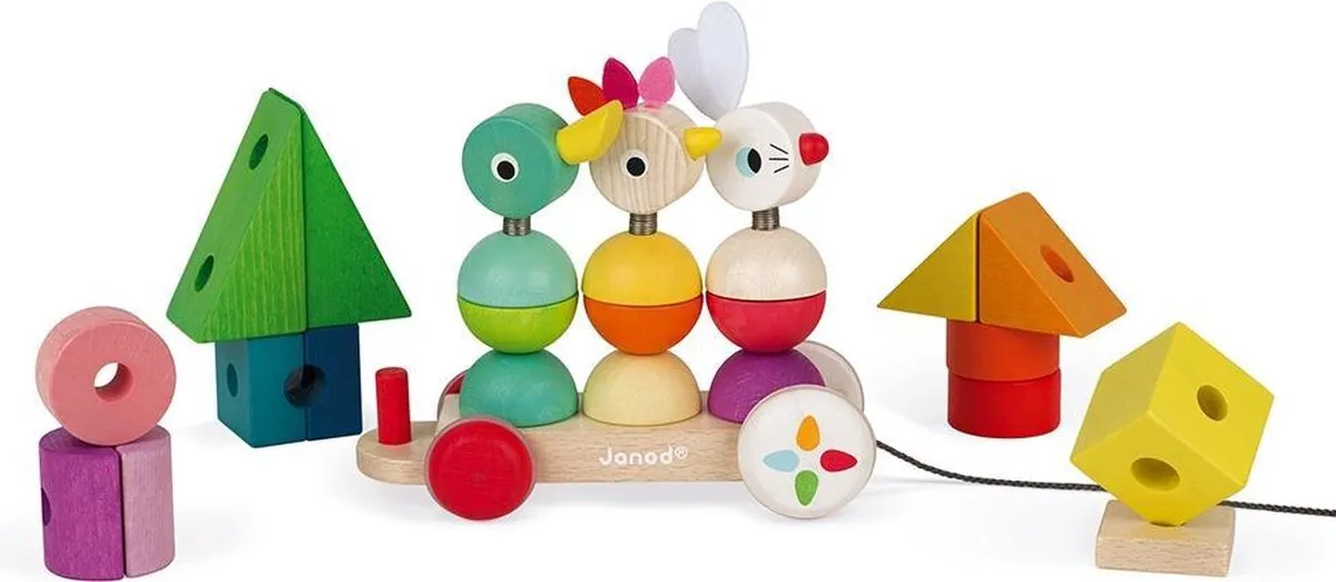Janod Zigolos 8202 Trein - Meerkleurig - 50cm