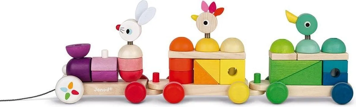 Janod Zigolos 8202 Trein - Meerkleurig - 50cm
