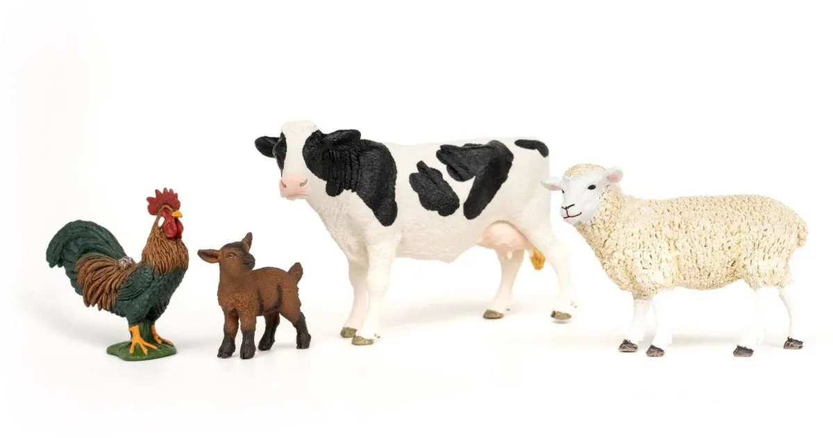 Schleich Farm World Boerderij Starterset 42729 - Multicolor