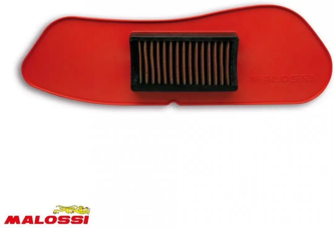 Malossi Luchtfilter voor Yamaha 250 YP X-MAX ABS Scooter 2011 tot 2016 Nieuw