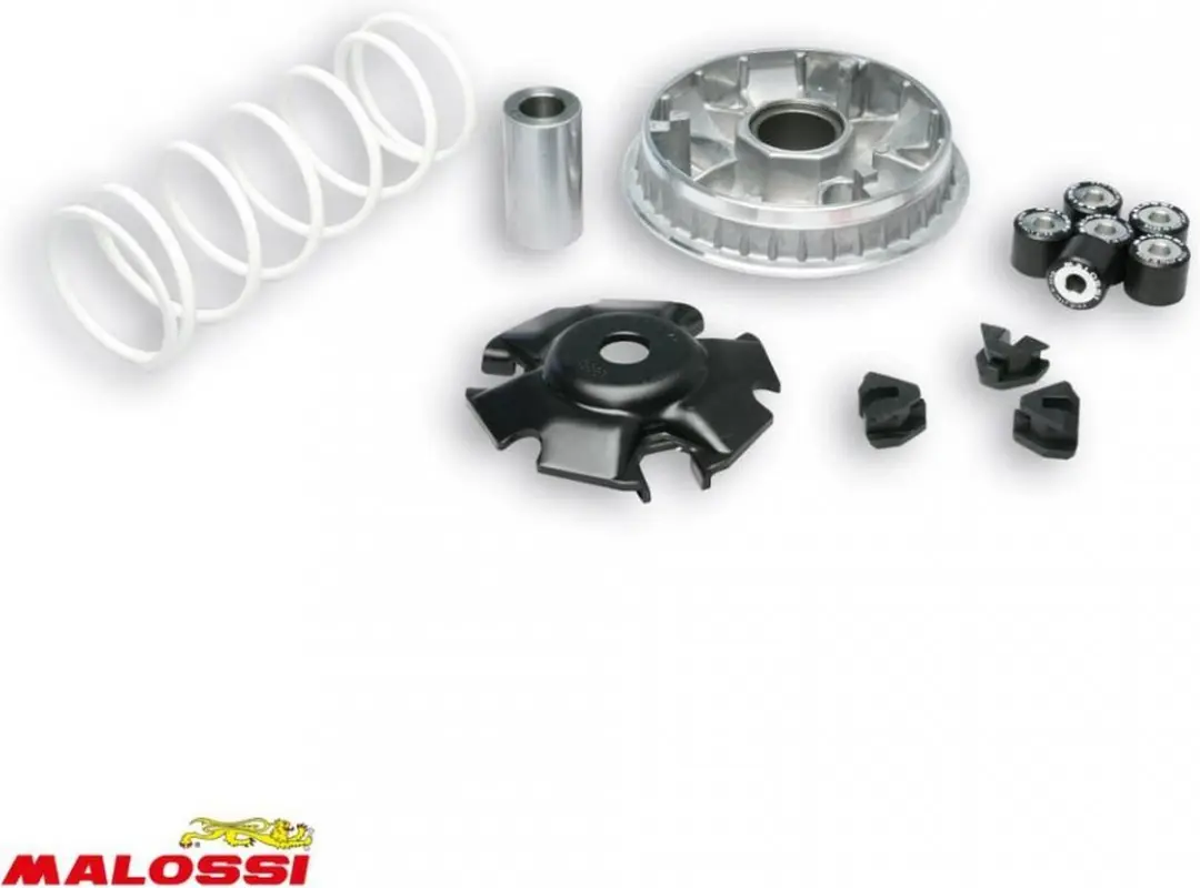 malossi variator voor honda 125 ps scooter 2006-2012 5111572 / multivar 2000 nie