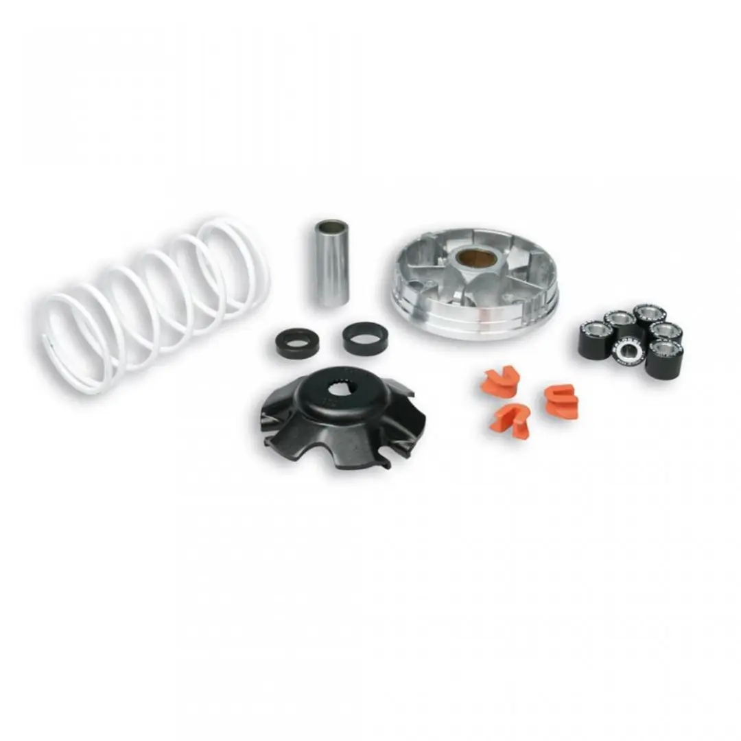 Variateur Malossi pour Scooter Piaggio 50 Liberty 2T 1997 à 2013 Neuf