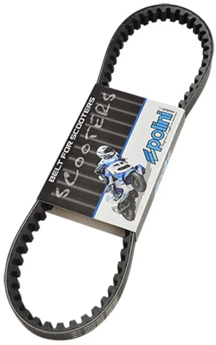 Courroie de transmission Polini pour Scooter Peugeot 50 Ludix snake Neuf