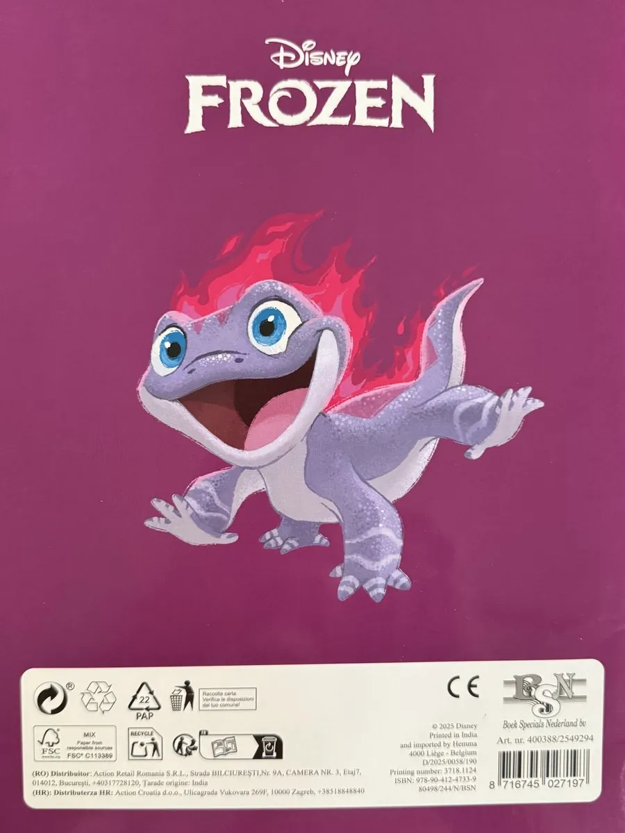 Disney Frozen II Kleurboek - 32 Pagina's - Multicolor